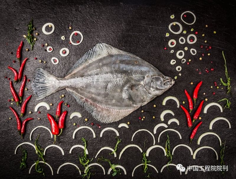 金龍魚芯片有哪些型號？：金龍魚芯片型號 金龍魚芯片有哪些型號？：金龍魚芯片型號 龍魚百科 第7張