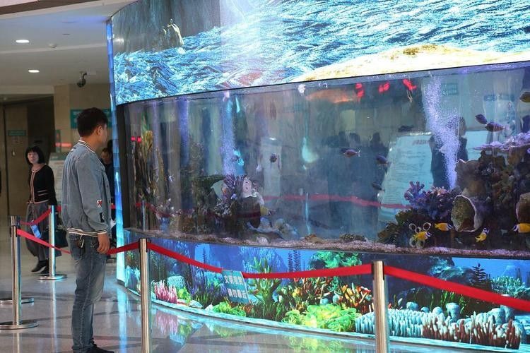 龍魚世家水族館有哪些特色服務：龍魚世家水族館的主要特點