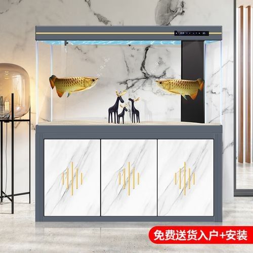如何選擇適合的金龍魚缸品牌？：適合金龍魚缸品牌時需要考慮幾個關鍵因素以確保您獲得最佳水質和美觀效果