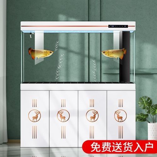 如何選擇適合的金龍魚缸品牌？：適合金龍魚缸品牌時需要考慮幾個關鍵因素以確保您獲得最佳水質和美觀效果
