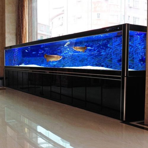如何選擇適合的金龍魚缸品牌？：適合金龍魚缸品牌時需要考慮幾個關鍵因素以確保您獲得最佳水質和美觀效果