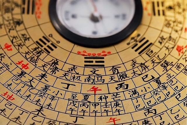如何為白子招財龍設置照明：為白子招財龍設置照明需兼顧風水寓意與生物習性建議
