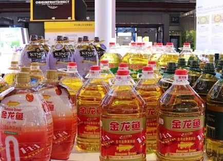 金龍魚有哪些本土化策略：金龍魚品牌是哪個國家的 金龍魚有哪些本土化策略：金龍魚品牌是哪個國家的 龍魚百科 第4張