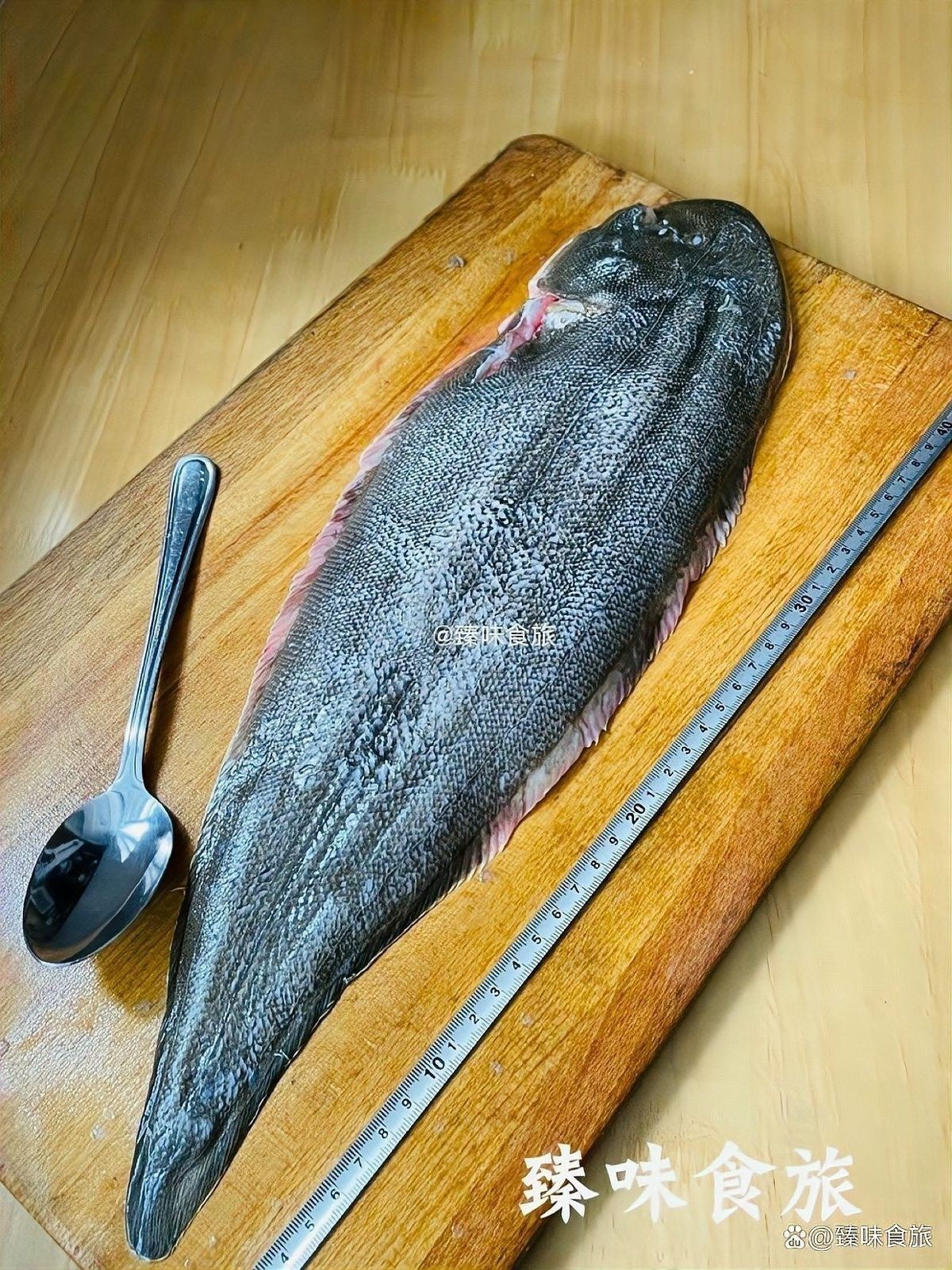 清蒸金龍魚需要多長時間？：清蒸金龍魚所需時間 清蒸金龍魚需要多長時間？：清蒸金龍魚所需時間 龍魚百科 第6張
