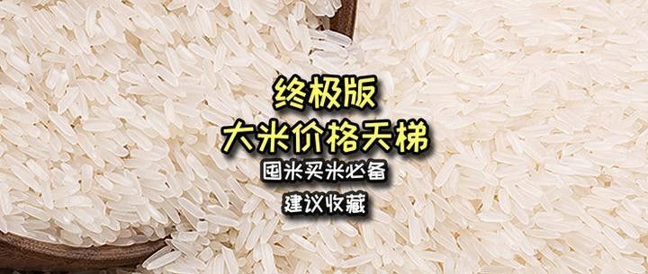 如何辨別真假金龍魚南方秈米？：如何辨別真假金龍魚南方秈米