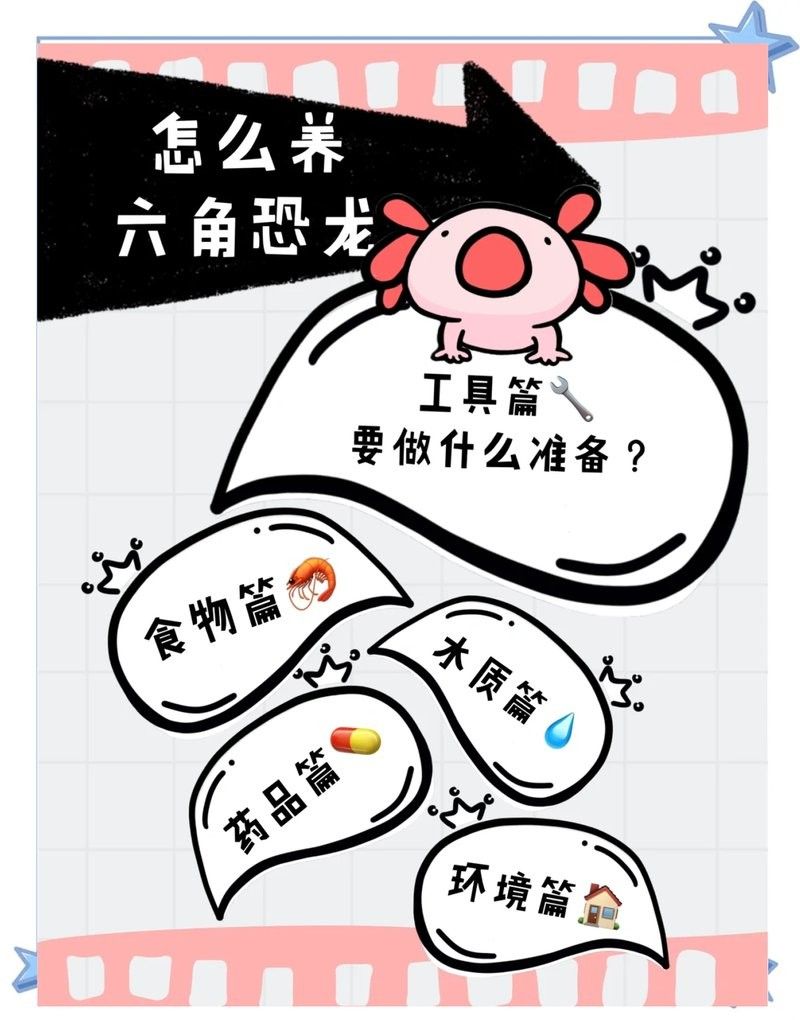 混養六角恐龍魚需要準備哪些設備：養六角恐龍必備設備清單，新手必看! 混養六角恐龍魚需要準備哪些設備：養六角恐龍必備設備清單，新手必看! 龍魚百科 第7張