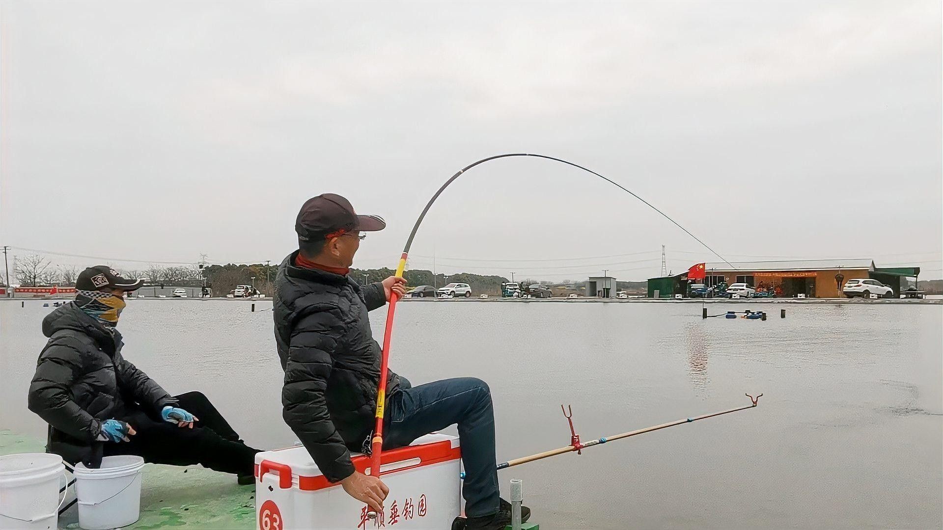 垂釣園有哪些魚類可以釣？：垂釣園可以釣到哪些魚類？ 垂釣園有哪些魚類可以釣？：垂釣園可以釣到哪些魚類？ 龍魚百科 第9張