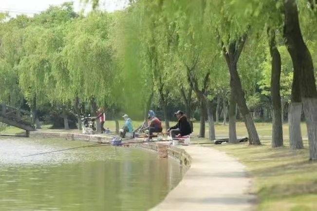 垂釣園有哪些魚類可以釣？：垂釣園可以釣到哪些魚類？ 垂釣園有哪些魚類可以釣？：垂釣園可以釣到哪些魚類？ 龍魚百科 第10張