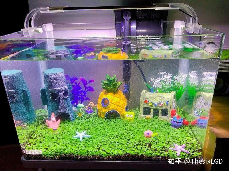 龍魚缸石頭造景需要哪些工具：龍魚缸石頭造景全攻略
