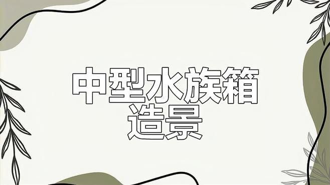 龍魚(yú)缸石頭造景需要哪些工具：龍魚(yú)缸石頭造景全攻略