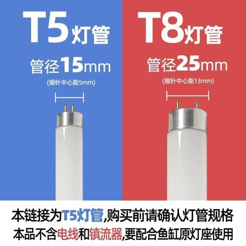 仟魚T5燈管的價格是多少:仟魚t5燈管價格 龍魚百科 第3張 仟魚T5燈管的價格是多少:仟魚t5燈管價格 仟魚T5燈管的價格是多少:仟魚t5燈管價格 龍魚百科 第3張