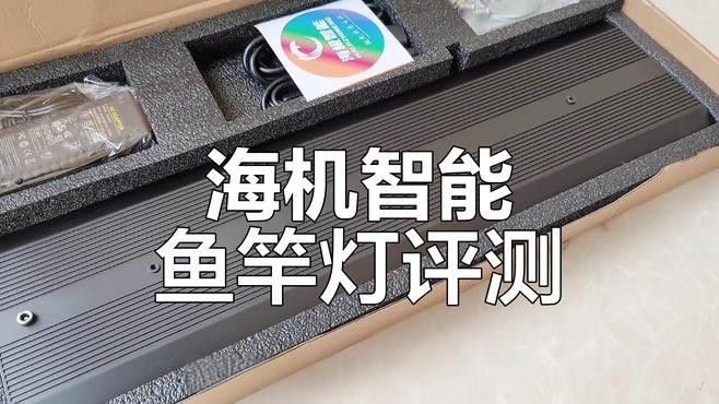 仟魚T5燈管的價格是多少：仟魚t5燈管價格 仟魚T5燈管的價格是多少：仟魚t5燈管價格 龍魚百科 第7張