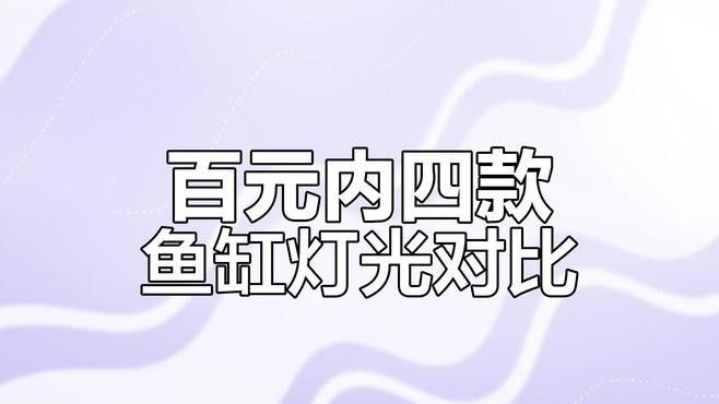 仟魚T5燈管的價格是多少：仟魚t5燈管價格 仟魚T5燈管的價格是多少：仟魚t5燈管價格 龍魚百科 第8張