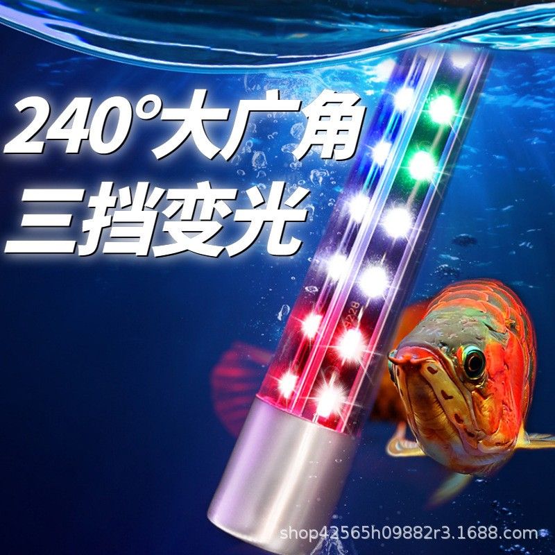 仟魚T5燈管的價格是多少：仟魚t5燈管價格 仟魚T5燈管的價格是多少：仟魚t5燈管價格 龍魚百科 第9張