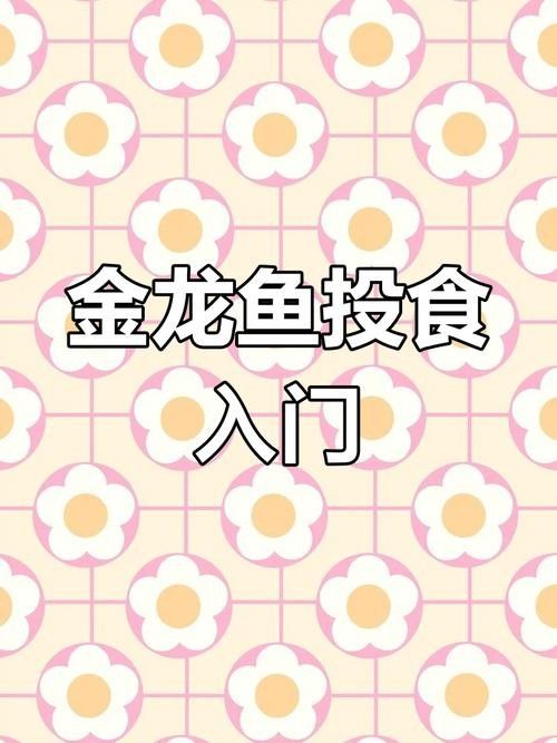 新手養金龍魚需要準備哪些設備？：新手養金龍魚需要準備哪些設備