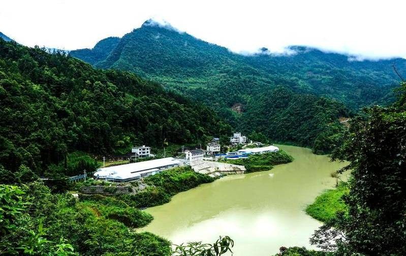 鶴峰哪個水族館龍魚好？祥龍魚場龍魚：祥龍漁場：龍魚養殖的全球標桿