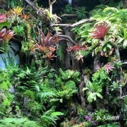 金源財(cái)富花卉交易市場(chǎng)還有哪些水族店：北京金源財(cái)富花卉交易市場(chǎng)哪個(gè)水族店最大