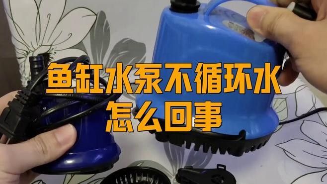 如何調節紅龍魚缸的水流？：紅龍魚缸水流調節技巧 如何調節紅龍魚缸的水流？：紅龍魚缸水流調節技巧 龍魚百科 第5張