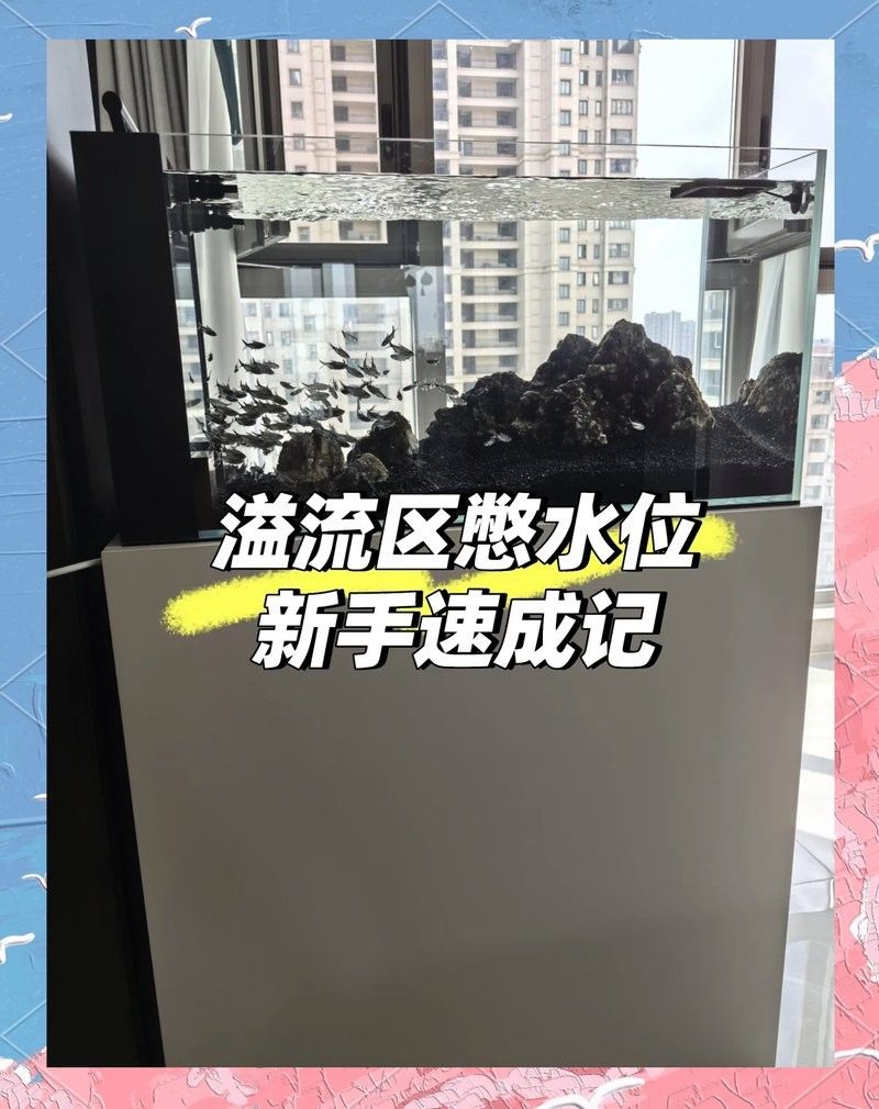 如何調節紅龍魚缸的水流？：紅龍魚缸水流調節技巧 如何調節紅龍魚缸的水流？：紅龍魚缸水流調節技巧 龍魚百科 第8張
