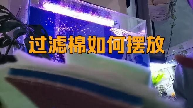上濾魚缸濾材如何擺放：養魚說，魚缸濾材擺放有講究