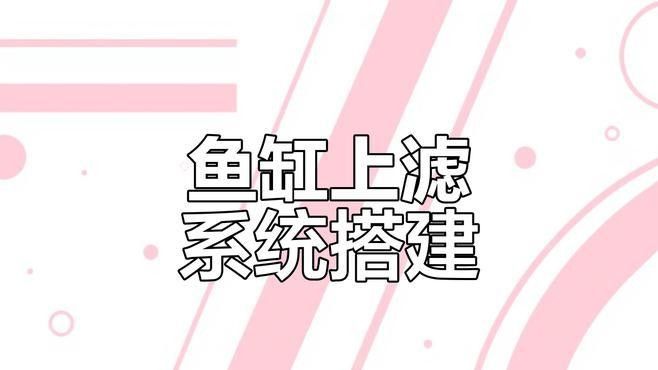 上濾魚缸濾材如何擺放：養魚說，魚缸濾材擺放有講究