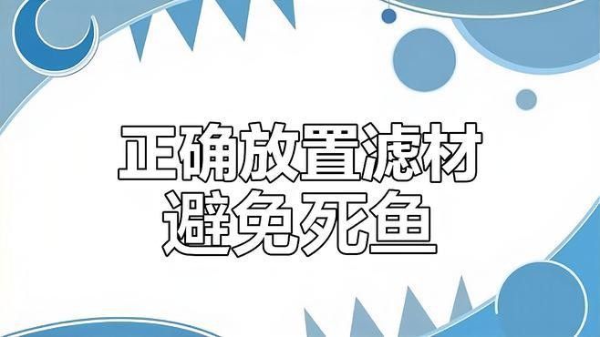 上濾魚缸濾材如何擺放：養魚說，魚缸濾材擺放有講究