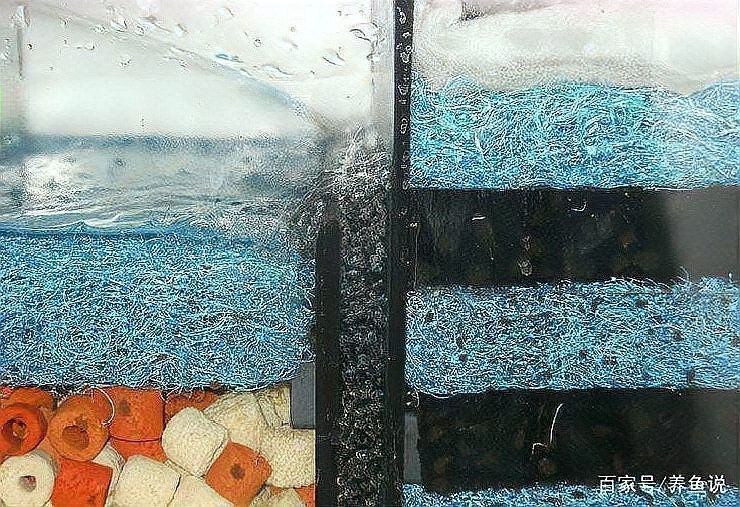 上濾魚缸濾材如何擺放：養魚說，魚缸濾材擺放有講究