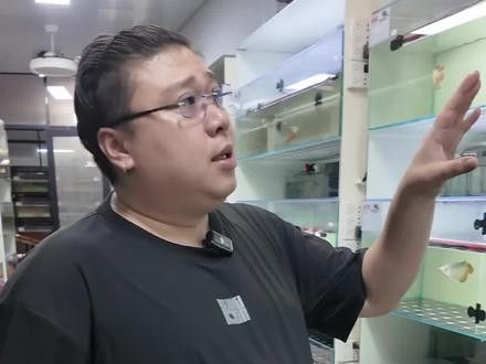 紅龍魚等級區分圖解：如何準確區分紅龍魚的等級