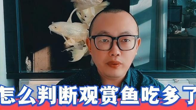 龍魚夏天多久換一次水,夏天養龍魚不是換水越勤越好,而是要“穩”字當頭 龍魚百科 第2張 龍魚夏天多久換一次水,夏天養龍魚不是換水越勤越好,而是要“穩”字當頭 龍魚夏天多久換一次水,夏天養龍魚不是換水越勤越好,而是要“穩”字當頭 龍魚百科 第2張