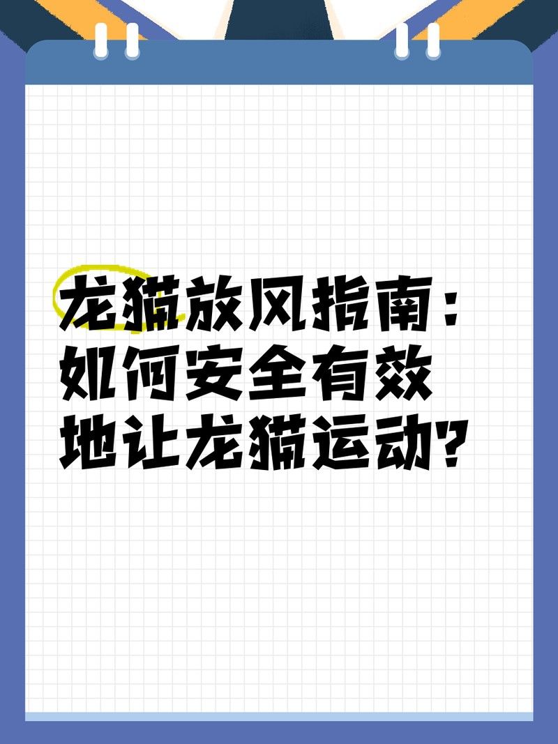 龍貓多久放風一次：龍貓多久放風一次，龍貓放風時需要注意哪些安全問題？