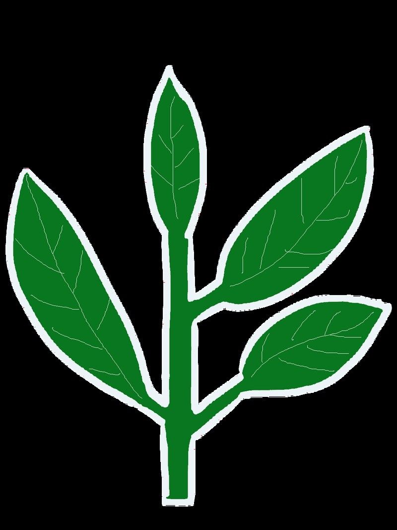 如何檢測水質中的氨氮值：如何檢測水質中的氨氮 如何檢測水質中的氨氮值：如何檢測水質中的氨氮 龍魚百科 第7張