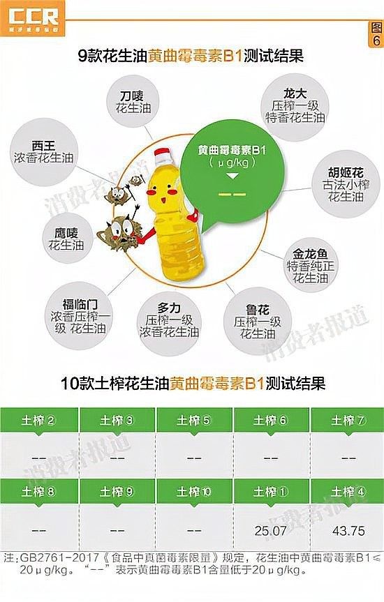 金龍魚和龍大哪個(gè)更健康？：金龍魚和龍大哪個(gè)好 金龍魚和龍大哪個(gè)更健康？：金龍魚和龍大哪個(gè)好 龍魚百科 第9張