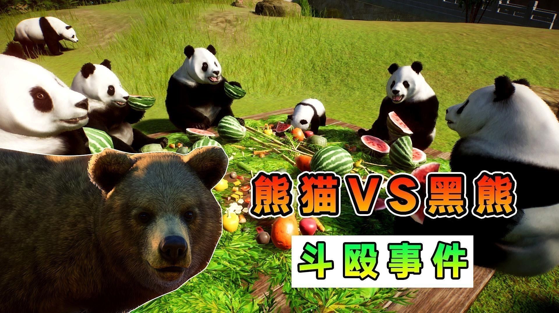 混養(yǎng)時如何避免打架？：如何避免混養(yǎng)動物打架