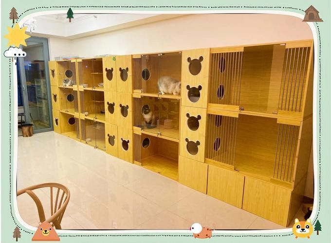 混養(yǎng)時如何避免打架？：如何避免混養(yǎng)動物打架