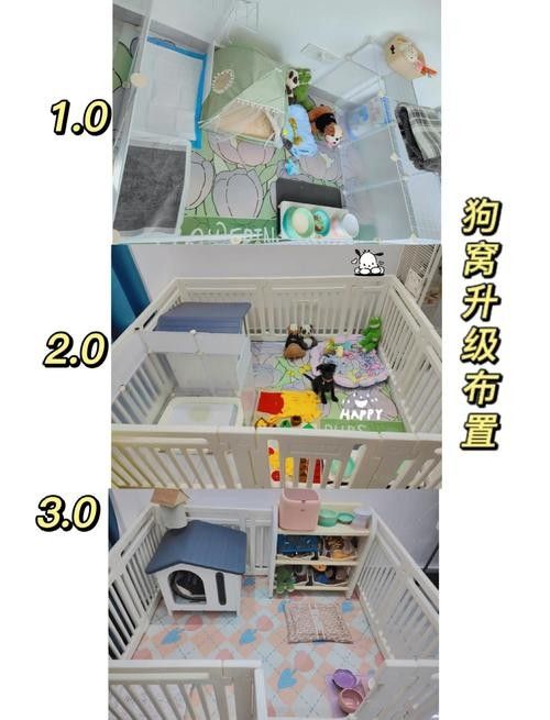 混養(yǎng)時如何避免打架？：如何避免混養(yǎng)動物打架