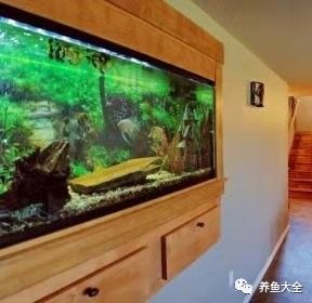 龍魚魚缸清洗需要多長時間？：【魚缸清洗方法】魚缸多久清洗一次