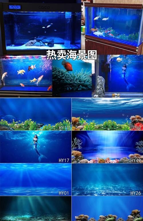 龍魚缸背景圖如何選擇？：魚缸背景圖的選擇