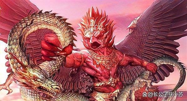 白龍魚有哪些天敵？：白龍魚在自然環(huán)境中可能相對安全