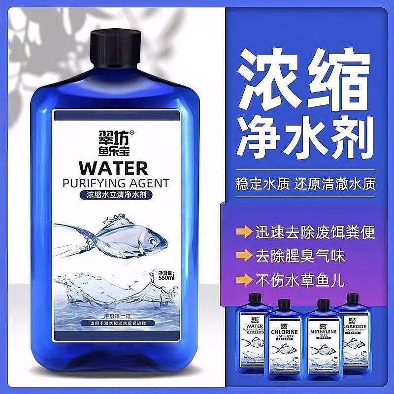 紅龍魚缸背景如何清潔？：清潔紅龍魚缸的方法