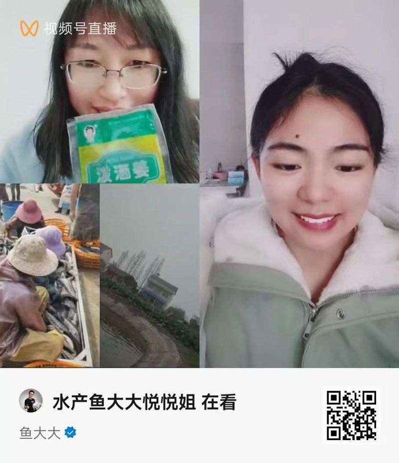 龍魚苗的運輸風險大嗎：長沙農(nóng)創(chuàng)聯(lián)展開龍魚苗運輸風險與距離、管理措施密切相關