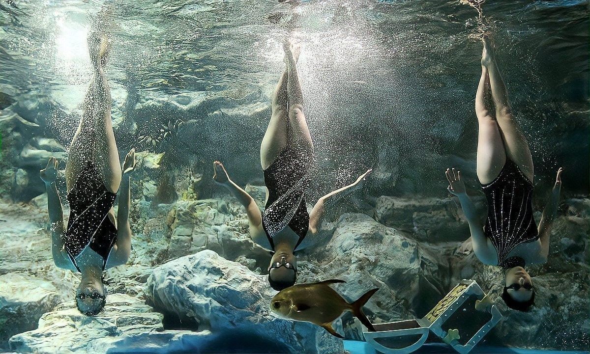 換水時如何控制溫差：養魚人必學：換水時如何控制溫差