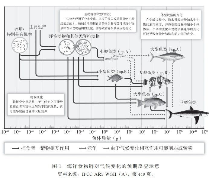 海龍魚禁令對相關產業有哪些影響：海龍魚禁令對相關產業產生了多方面的影響 海龍魚禁令對相關產業有哪些影響：海龍魚禁令對相關產業產生了多方面的影響 龍魚百科 第2張