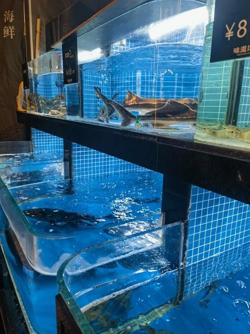 墨脫哪個水族館龍魚好？祥龍魚場龍魚：上海海洋水族館祥龍魚場祥龍魚場有哪些龍魚品牌