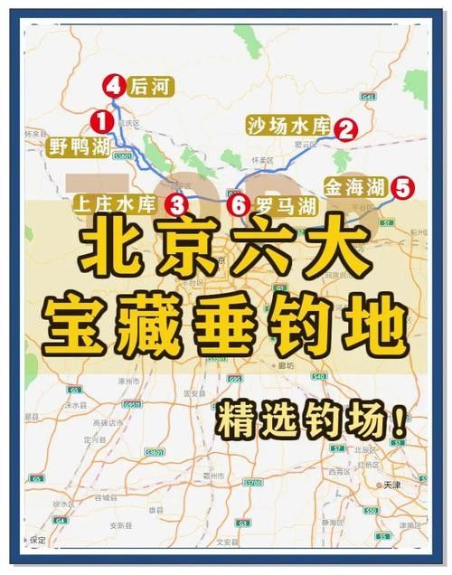 如何前往里水匯龍魚場？：北京到里水匯龍魚場自駕需要多久？ 如何前往里水匯龍魚場？：北京到里水匯龍魚場自駕需要多久？ 龍魚百科 第1張