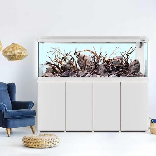 彩蝶龍魚缸哪個型號最受歡迎？：彩蝶魚缸怎么樣