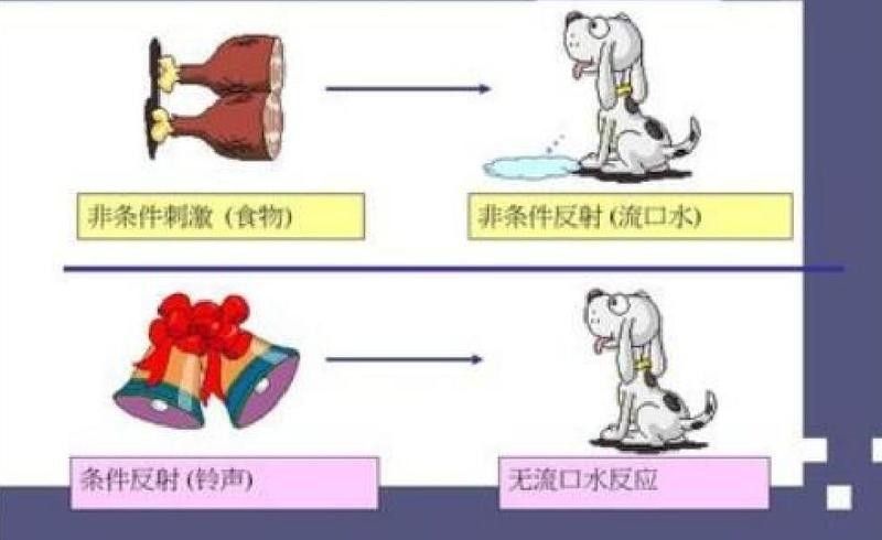 多拉德理論如何與現代心理學相結合？：多拉德理論與現代心理學