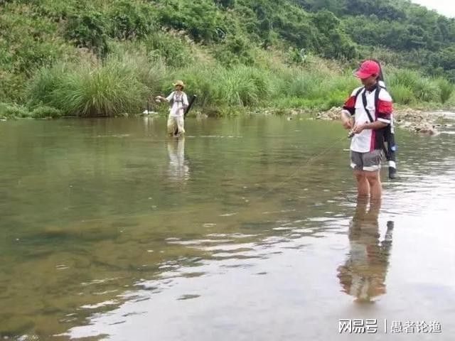 飛蠅假餌的釣魚成功率如何：《原神》飛蠅鉤釣魚成功率因目標魚種、水域環境及操作技巧而異