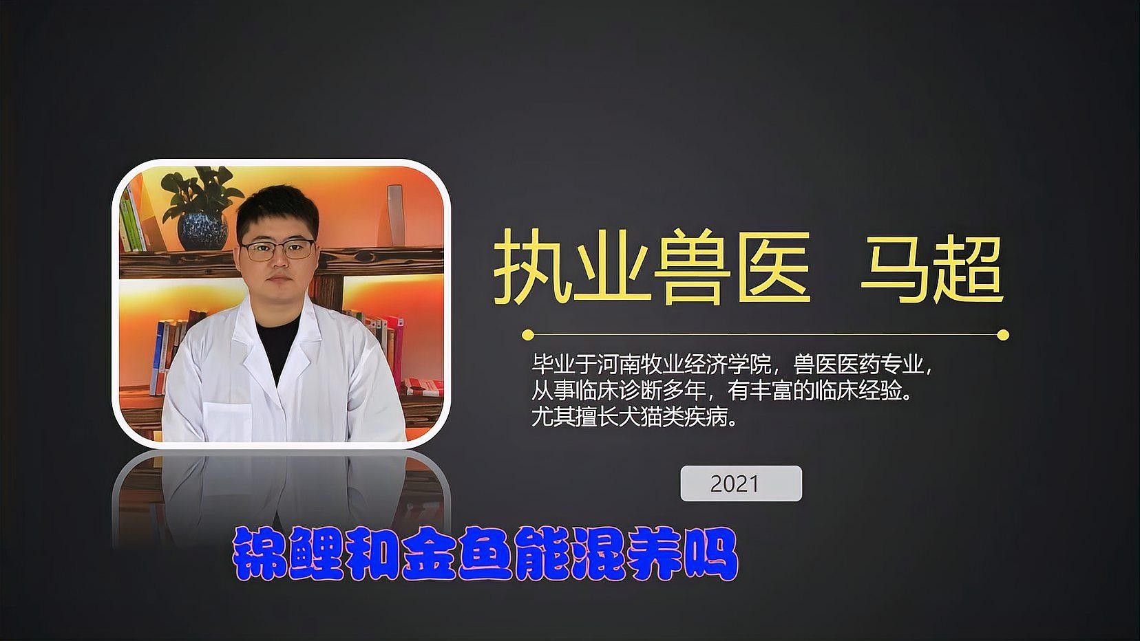 金魚和錦鯉混養需要注意什么：金魚和錦鯉混養的利與弊全解析金魚和錦鯉混養的利與弊