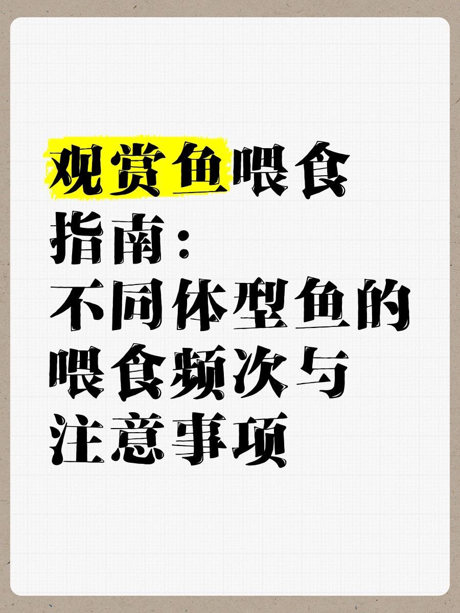 招財貓魚多久喂一次合適？：招財貓魚吃什么 招財貓魚多久喂一次合適？：招財貓魚吃什么 龍魚百科 第4張