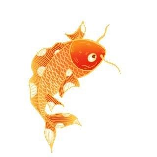 紅福龍魚壁紙下載鏈接：下載紅福龍魚壁紙的方法 紅福龍魚壁紙下載鏈接：下載紅福龍魚壁紙的方法 龍魚百科 第1張